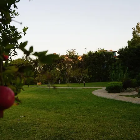 Orama Νέα Ποτίδαια