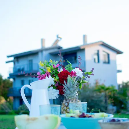 Orama * نيا بوتيدايا